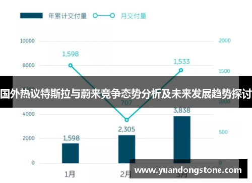 国外热议特斯拉与蔚来竞争态势分析及未来发展趋势探讨