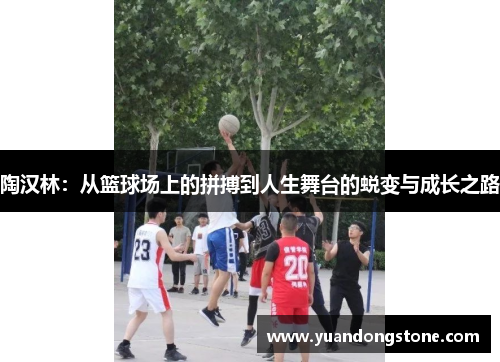 陶汉林：从篮球场上的拼搏到人生舞台的蜕变与成长之路