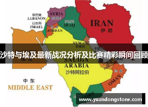 沙特与埃及最新战况分析及比赛精彩瞬间回顾